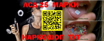 сатива Краснознаменск