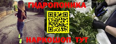 сатива Краснознаменск