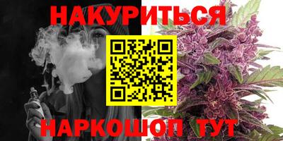 сатива Краснознаменск
