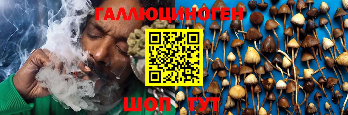 Галлюциногенные грибы Magic Shrooms Подольск
